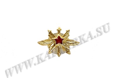 Петличный знак войск Связи (золотистый)